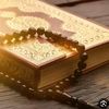 nour.tamer015