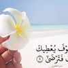 user6187480146271