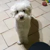 marianoluciogonza
