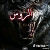 user58526121626