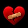 lobo_5023