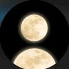 ayush9681