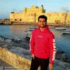 mahmoudmohamed15584