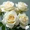 flowers..white3