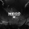 megs2430