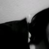 auro_287