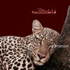 nassira7220