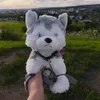 plush_husky2