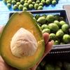 buah_ngebel_
