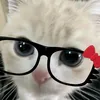 ea_cardozx1