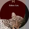 zahraa.alm7