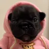 poppxs