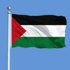 palestine2025___