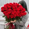 yassmin3670288742181