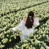 daffodil_2811