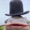 the_real_senor_sigma