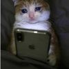 iloveapplesauce133