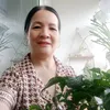linh.s.minh.thnh