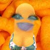 nicole.giraldo.ri
