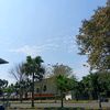 melatii2597