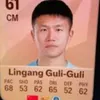 lingaguligulihesv