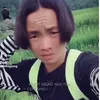 bo.vit.phm4