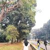 sdn_satu