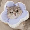 cat baby