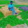 user787862573943
