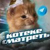 котеке сматреть