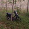 bani.mustofa8