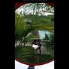 hantu_892