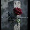 harshani.nimanthi71