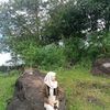 ryye24