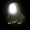 313sajad1214