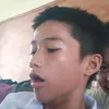 mallowhead0
