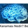 ralya.deist