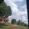 sayadaniel60