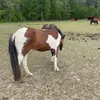 elsa.fraser12