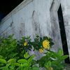 zidd_57