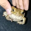 bumalikkanasakinplz