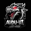 audi.lit