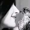شـ𓄌ـمـريه☪︎