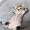 depzaicotunhatthegioi44