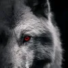 Motivation video772