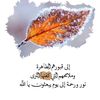 dhududhd45