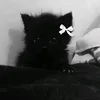 melisvfx19
