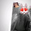 rhlm_kitty2