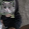 nadifa.rahma1