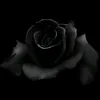 nourahmad332